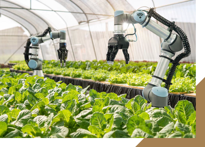 Robot controlled arms in greenhouse