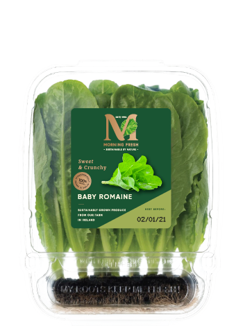 Baby Romaine Pack Image