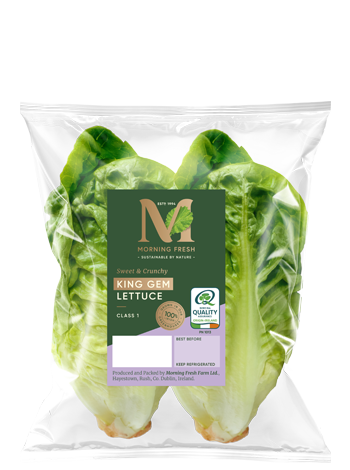King Lettuce Pack Image