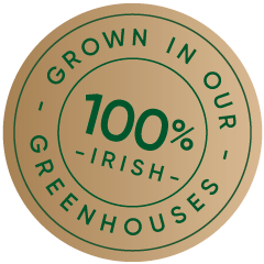 100% Irish, Grown in our greenhouses