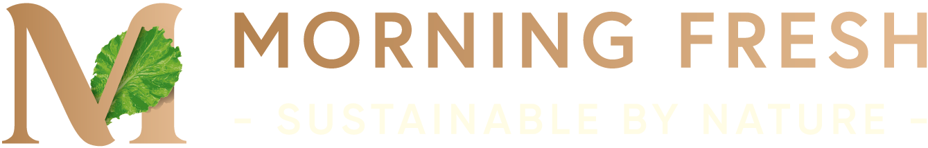 Morning Fresh logo